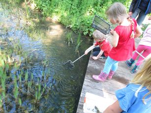 Ein toller Tag am Teich